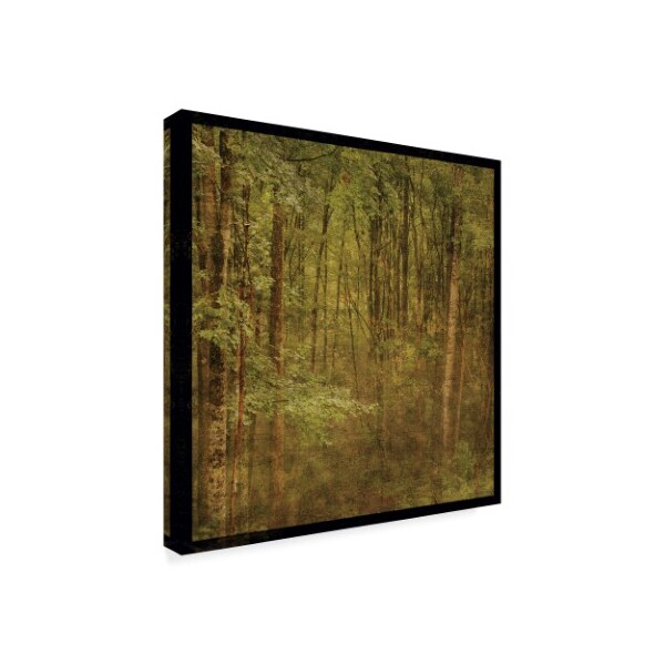 John W. Golden 'Forest Trees' Canvas Art,24x24